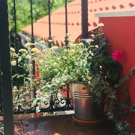 Casa de Férias House Of Milka Zadar