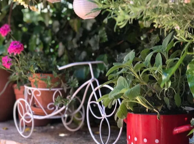 House Of Milka Prázdninový dům *