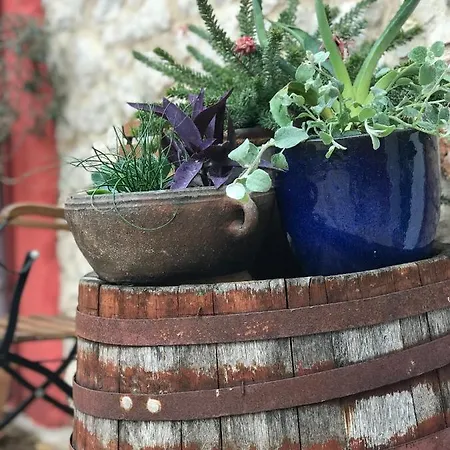 House Of Milka Zadar