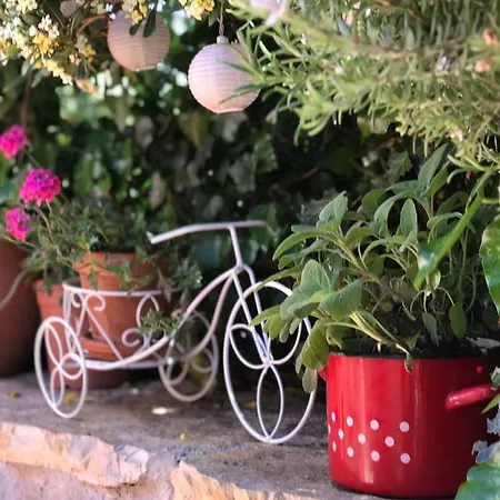 House Of Milka Holiday home *