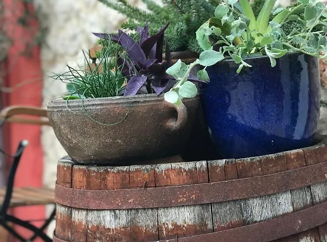 House Of Milka Ζαντάρ