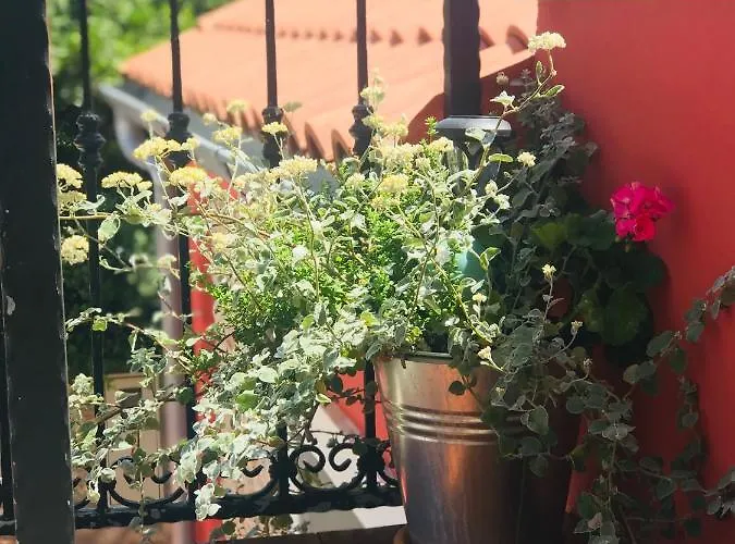 Σπίτι διακοπών House Of Milka Ζαντάρ