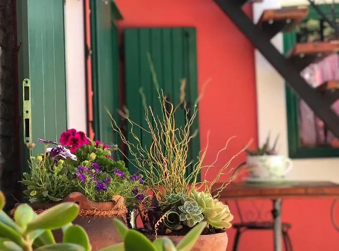 House Of Milka Ζαντάρ